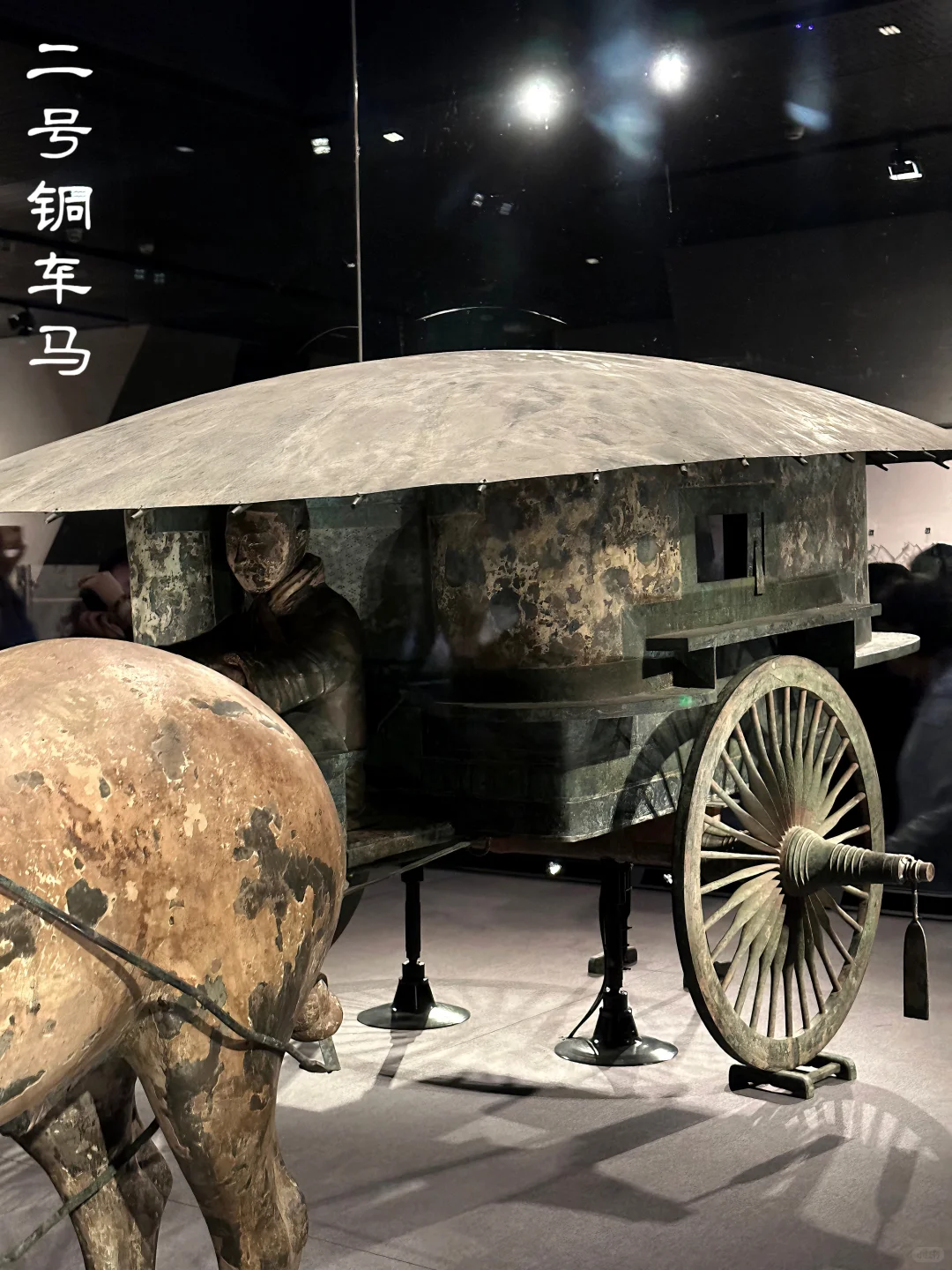 我 秦始皇 打钱😎我真懂兵马俑怎么玩