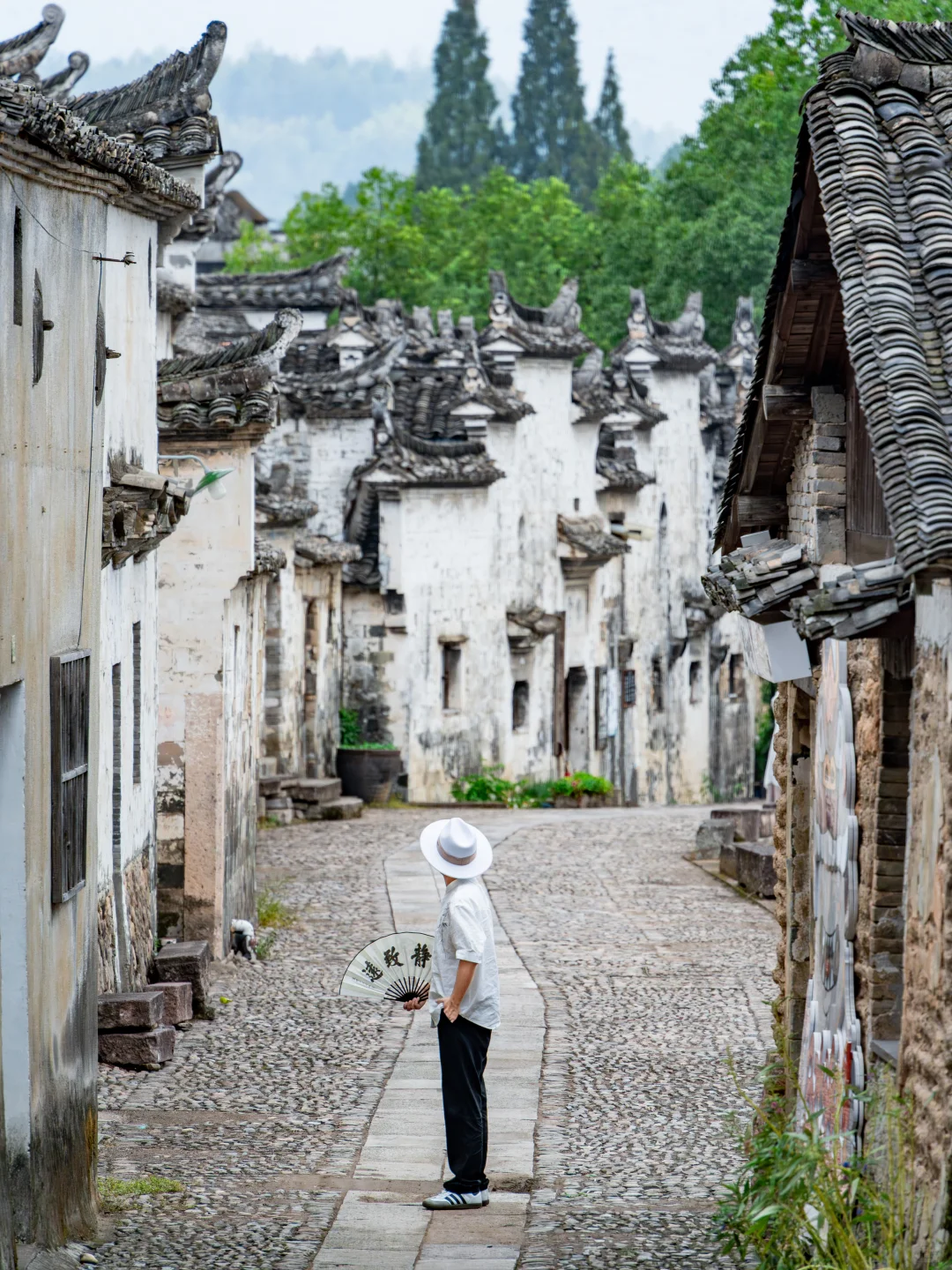 被《国家地理》称为人间仙境的丽水到底有多美