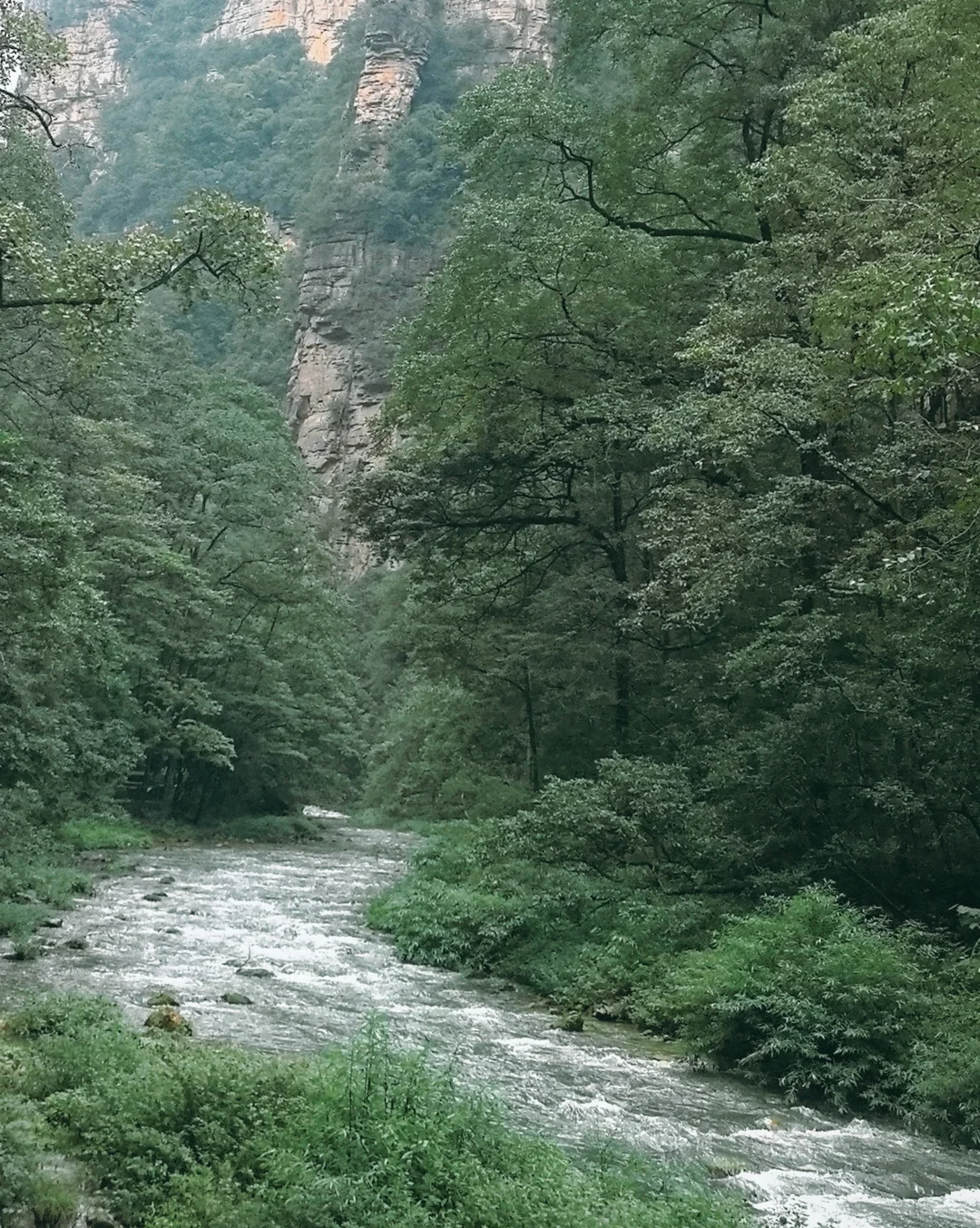 含氧之旅—张家界+凤凰古城