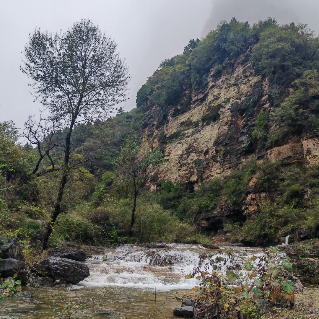 齐王寨景区请把村路修好