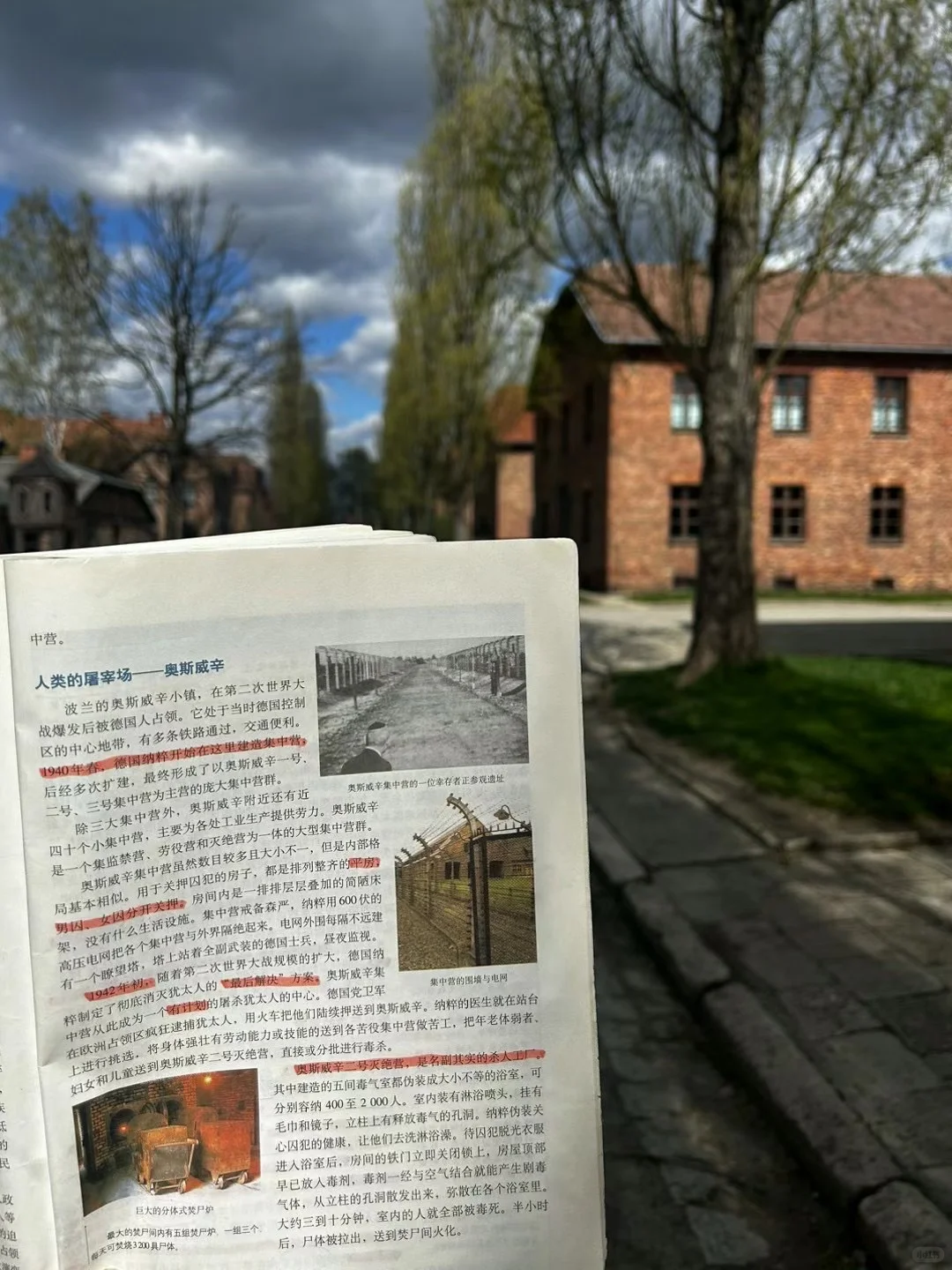 我去过的最适合女生solo游玩的五个国外城市