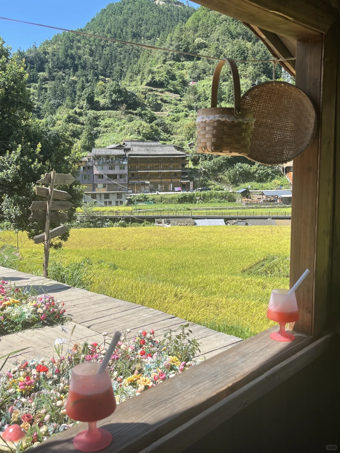 📍黔南-黔东｜三天两夜✈️这一篇就够啦🌾