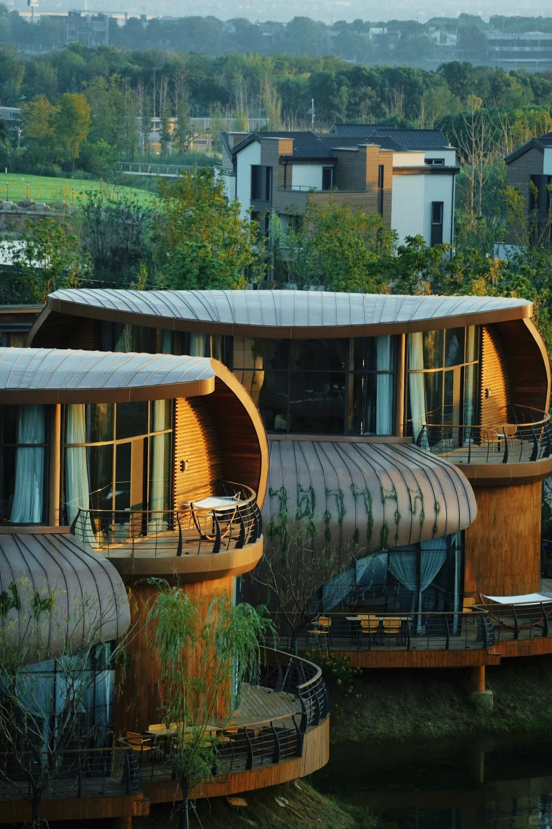 不是新西兰,是武汉,住进森林🌳树屋🛖