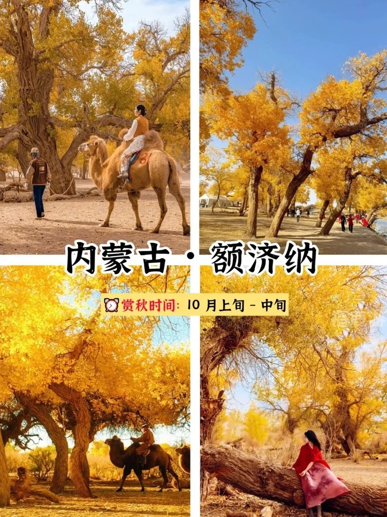 25国内赏秋好去处 | 9-12⽉秋⽇出⾏指南！