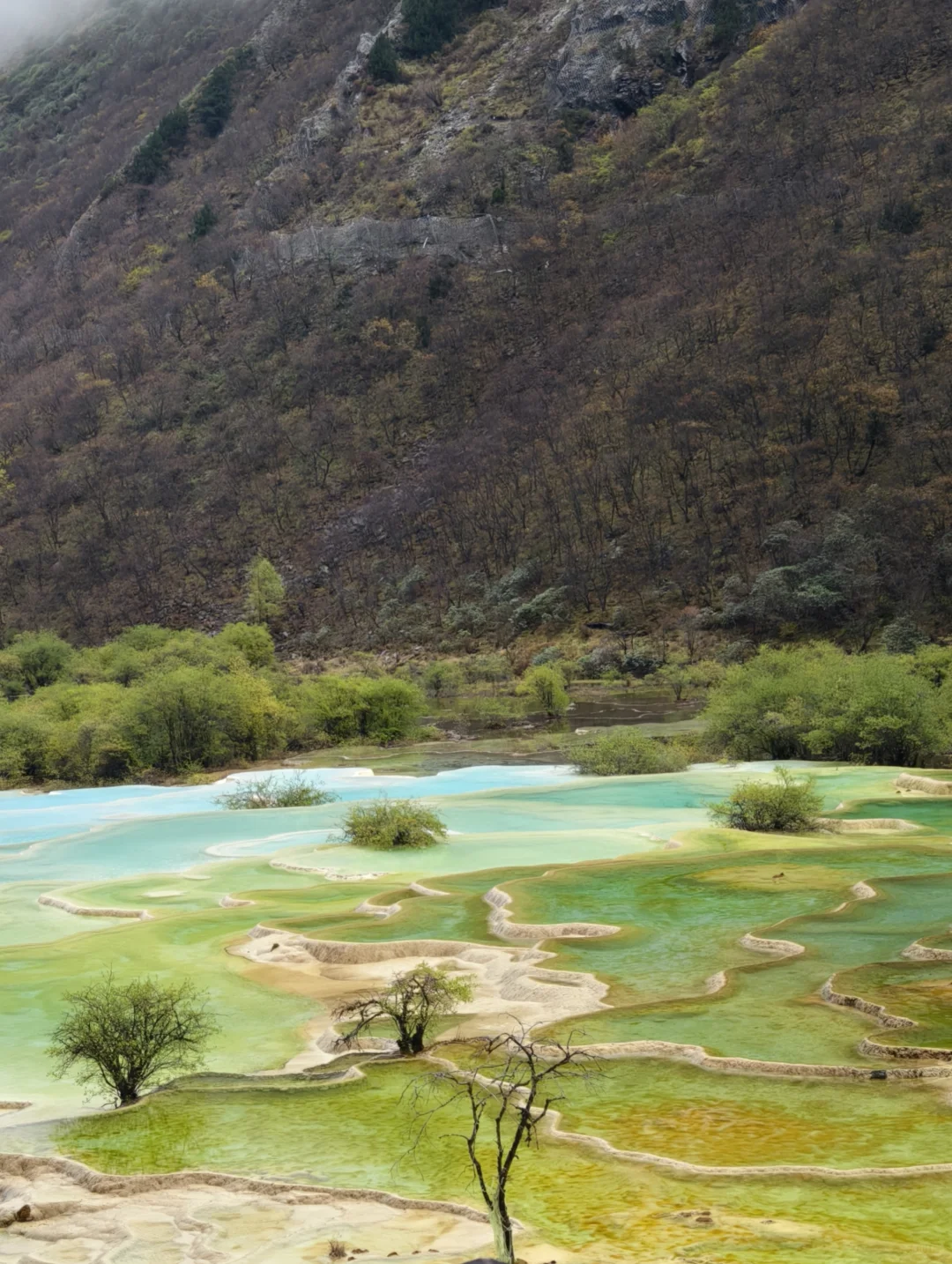 为黄龙正名,一个值得来的景区