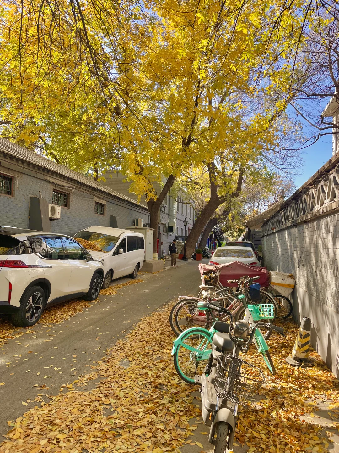 再过两周🍂北京才开始进入真正的秋天