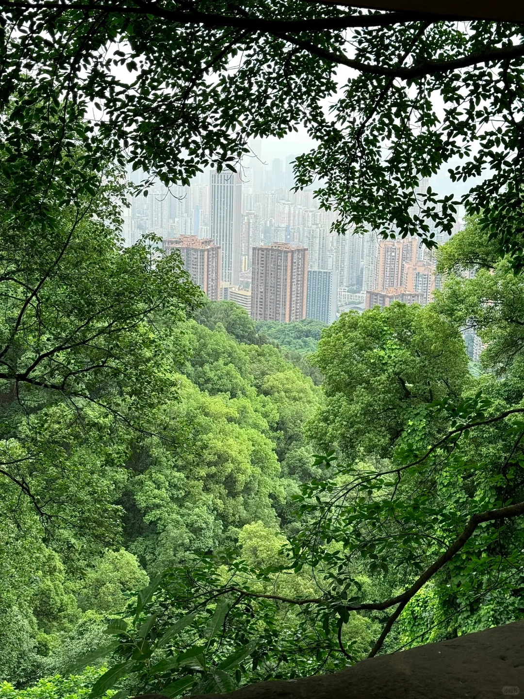 重庆这几个地方!亲测比洪崖洞好玩10000倍🍃