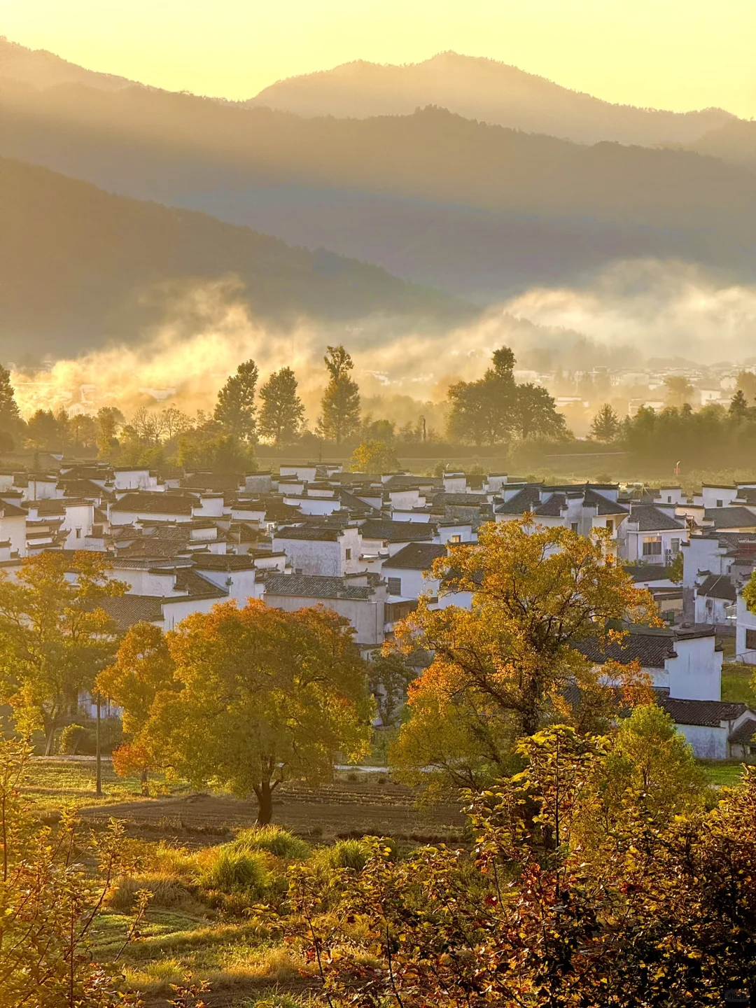 被《国家地理》评为中国最美的秋天🍂有多绝👍