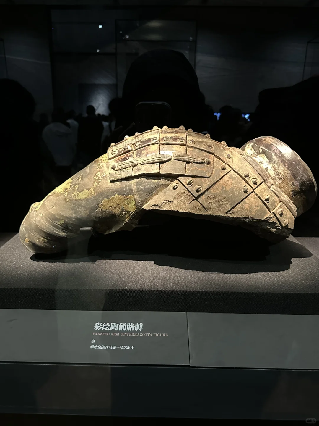 我 秦始皇 打钱😎我真懂兵马俑怎么玩