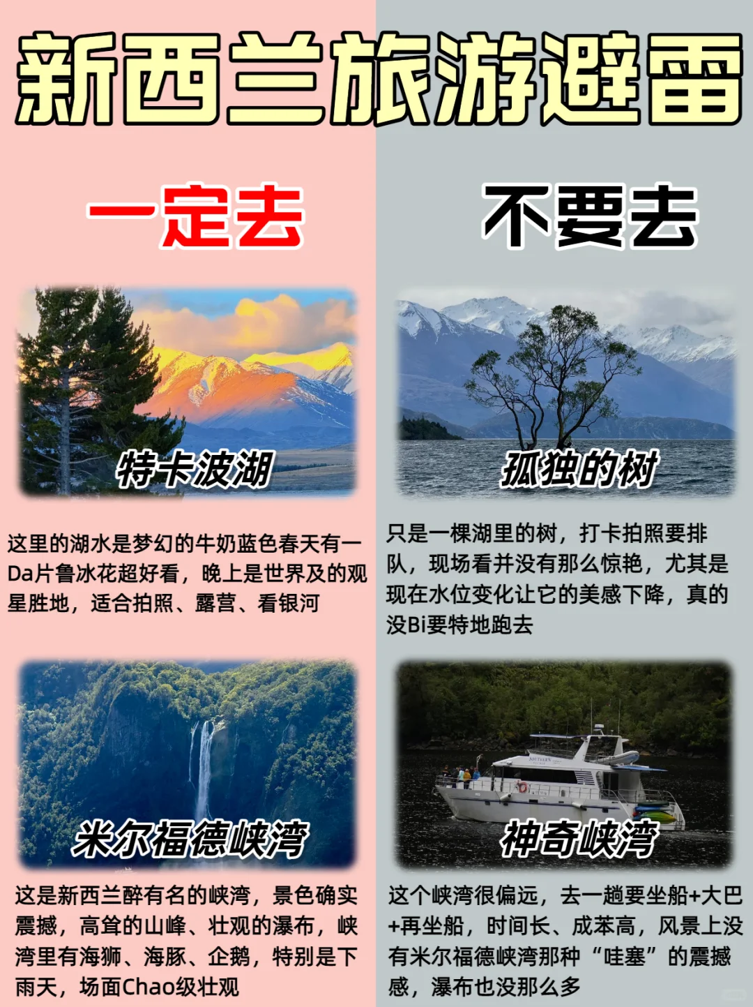 🇳🇿 新西兰本地朋友掏心窝子整理！