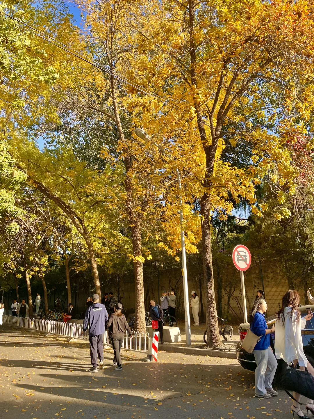 再过两周🍂北京才开始进入真正的秋天