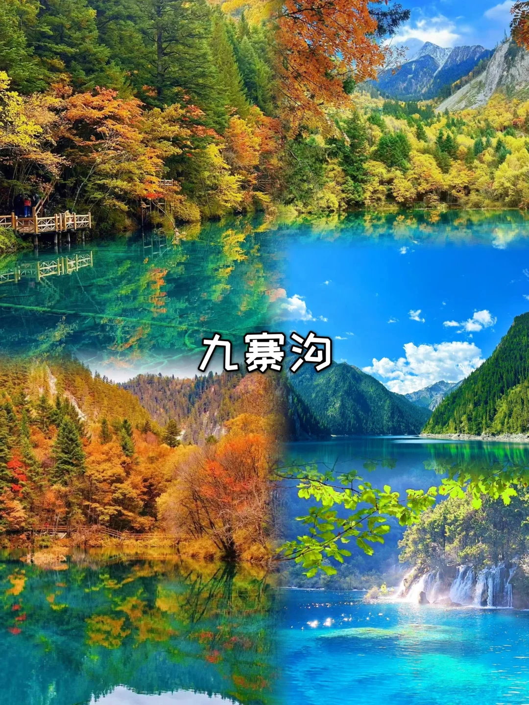 成都+九寨沟五日游❗10-11月两人1000+💃