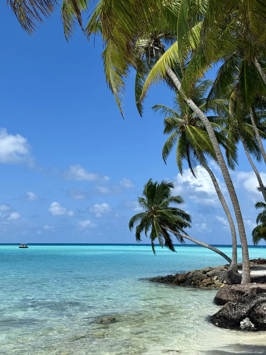 人均3500的马尔代夫🇲🇻9天8晚