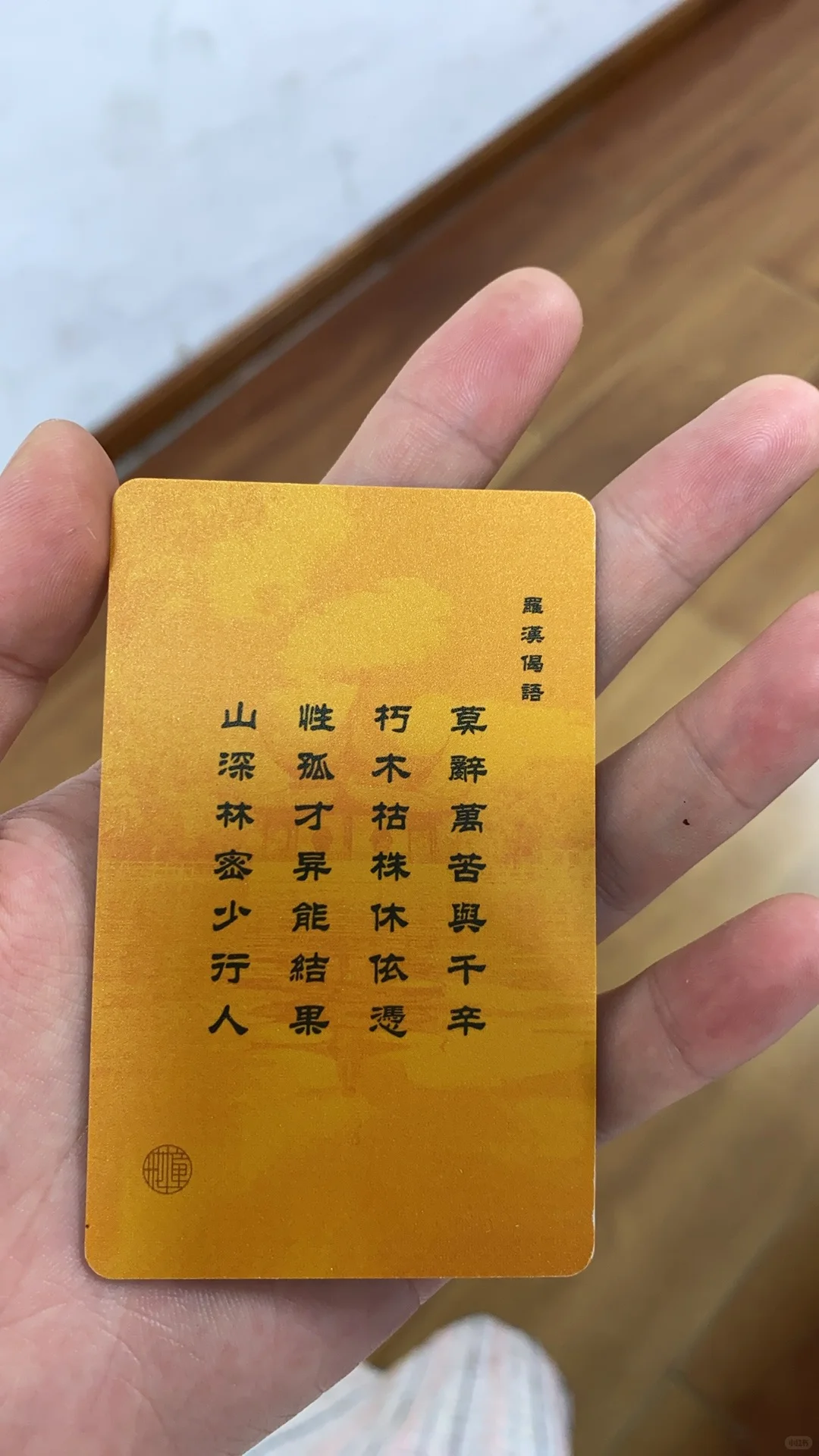 上海苏州往返一日游之放空