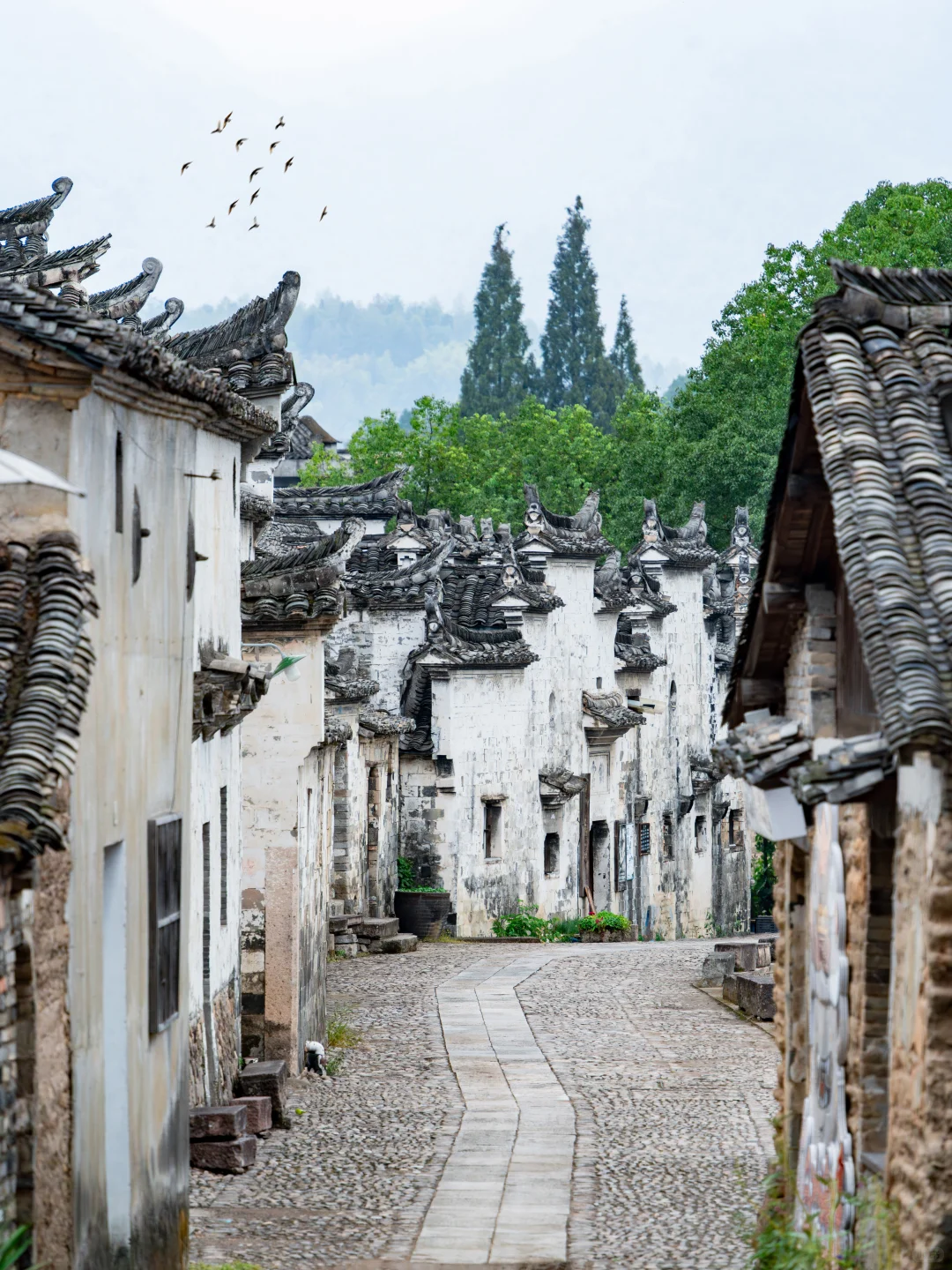 被《国家地理》称为人间仙境的丽水到底有多美