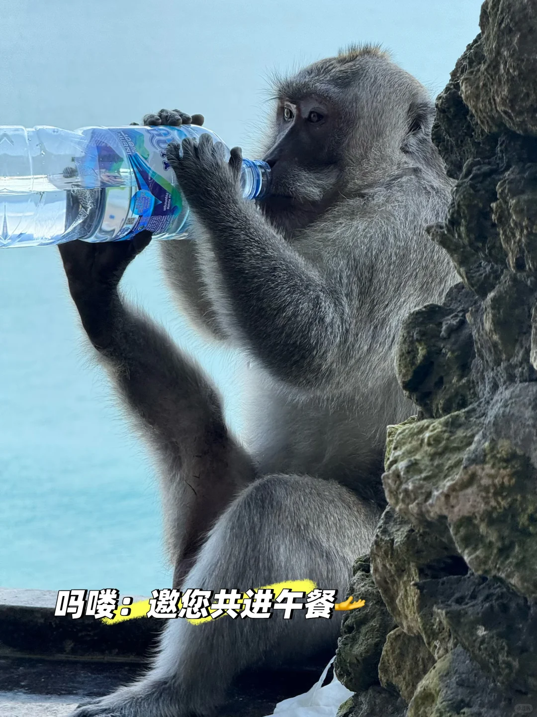 印尼旅行 吃住行看这篇就够了《上》