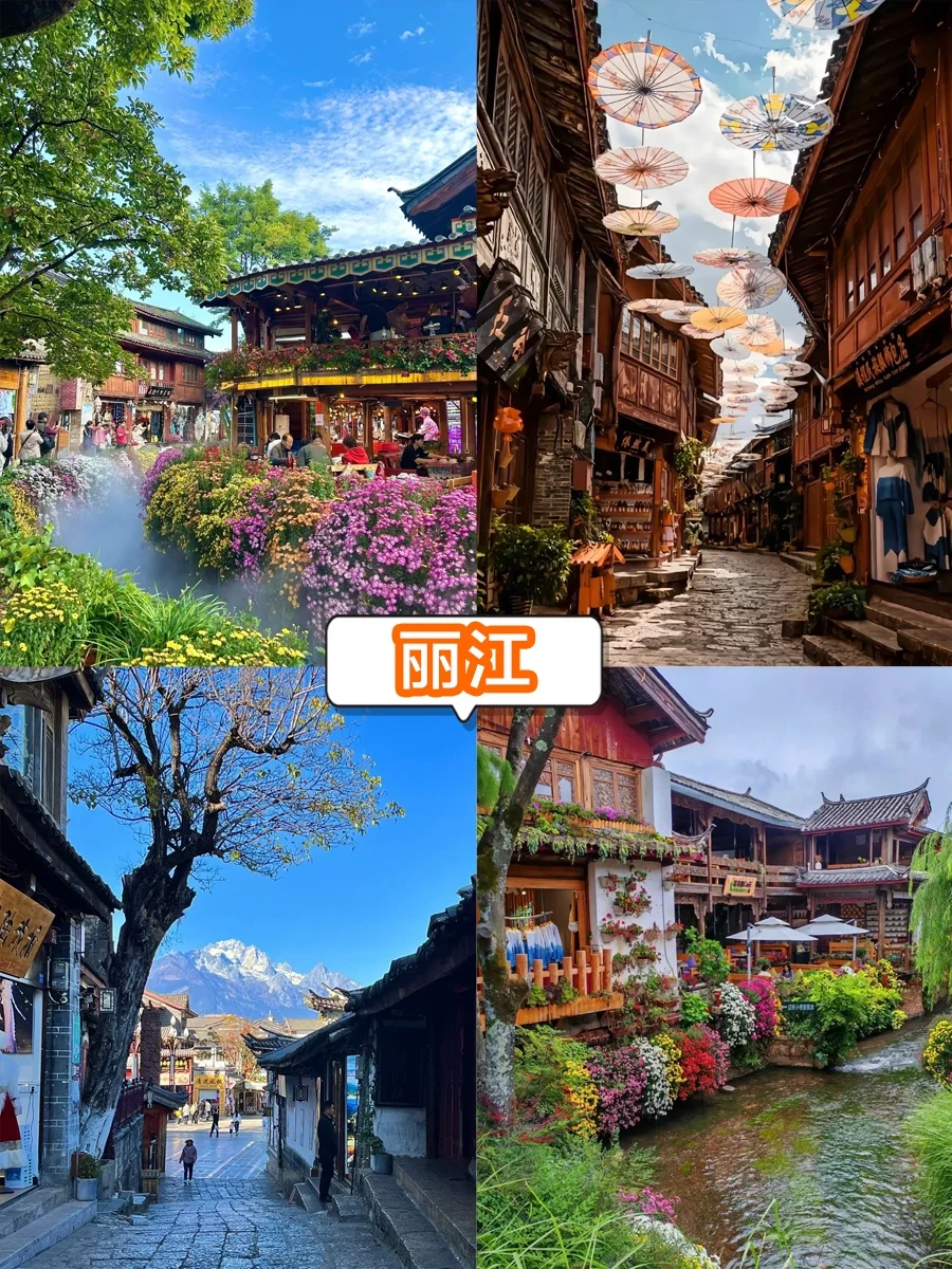 🌟来云南旅行👉最丝滑的游玩方式❤️