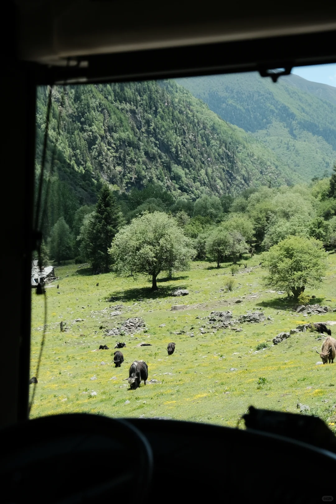 四姑娘山，是四川的“小新疆”