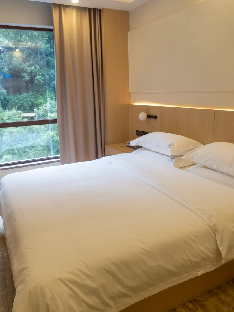 住进森林里!龙胜温泉景区酒店实测