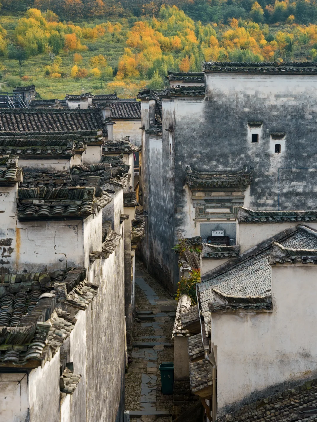 被《国家地理》评为中国最美的秋天🍂有多绝👍