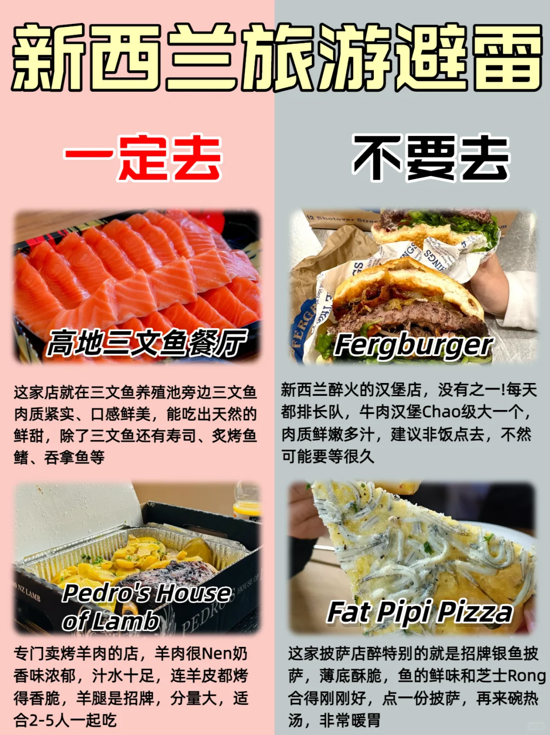 🇳🇿 新西兰本地朋友掏心窝子整理！