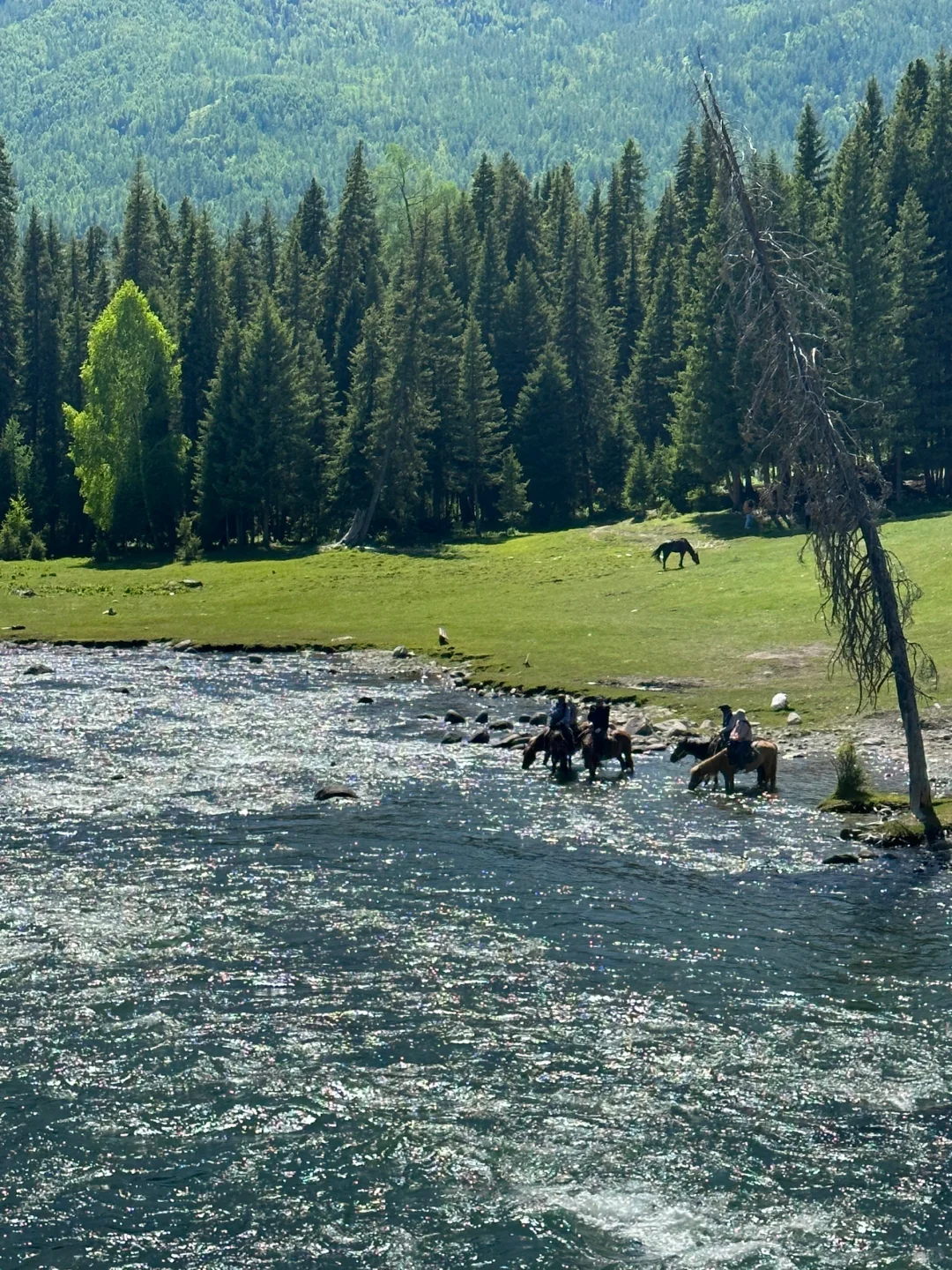 童话般的喀纳斯