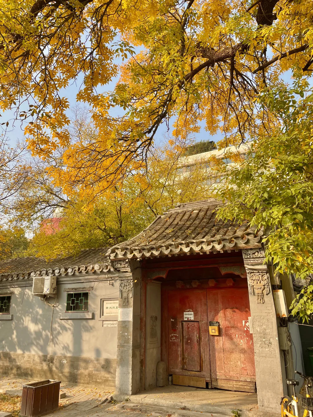 再过两周🍂北京才开始进入真正的秋天
