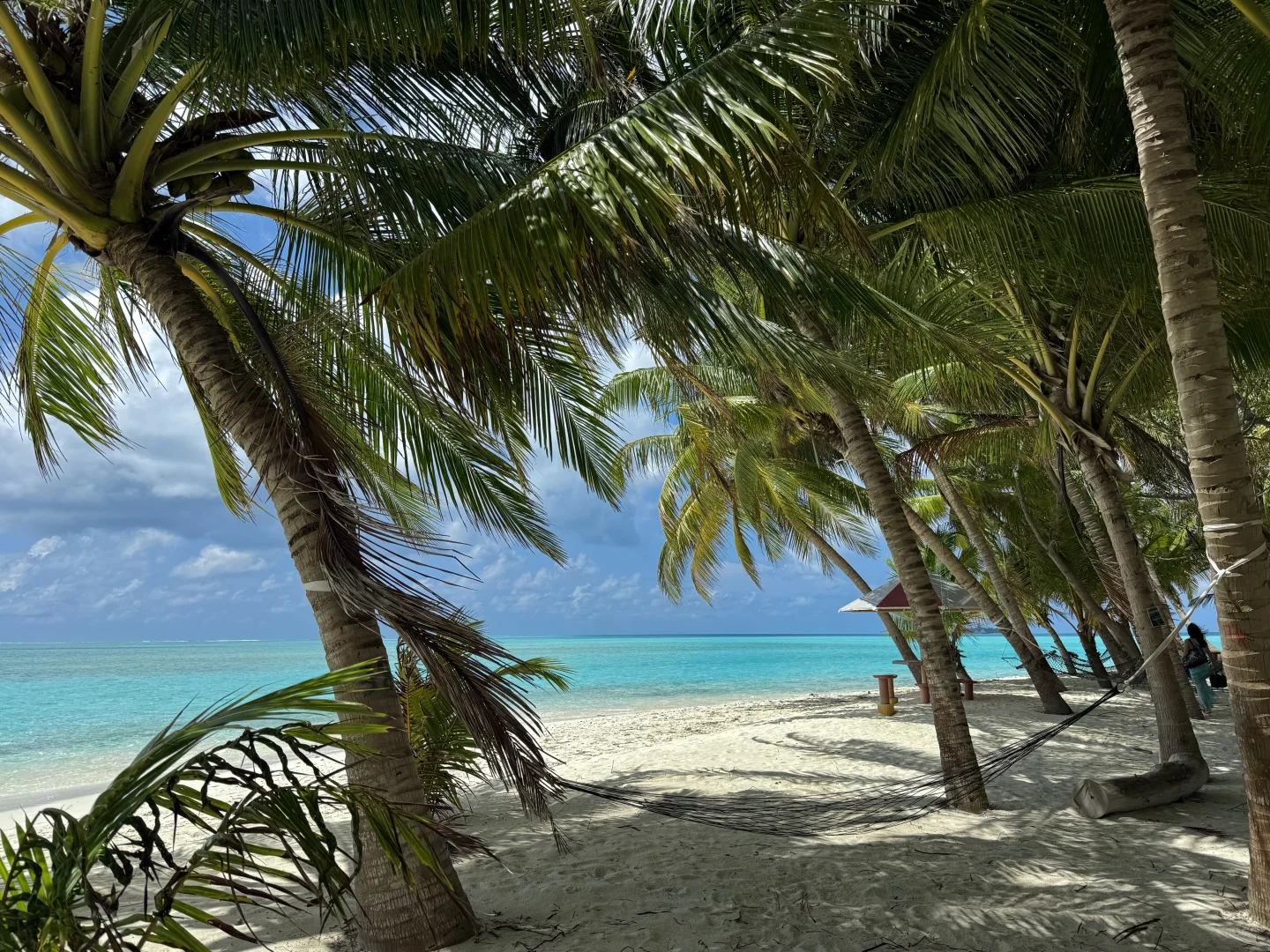 人均3500的马尔代夫🇲🇻9天8晚