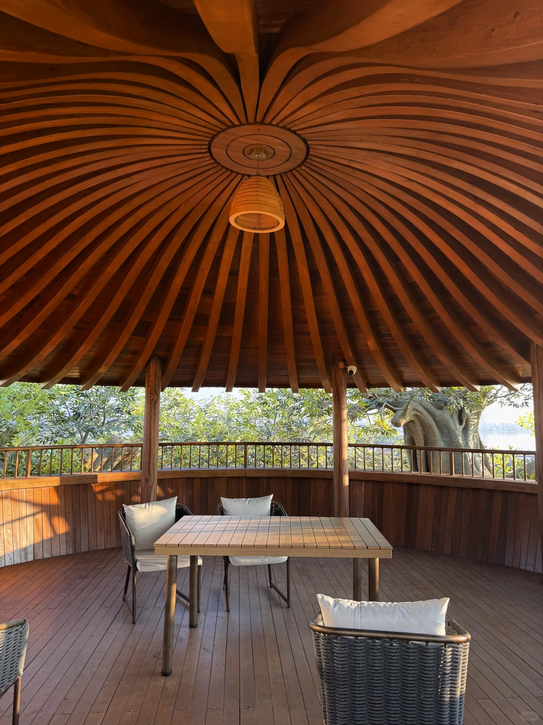 不是新西兰,是武汉,住进森林🌳树屋🛖