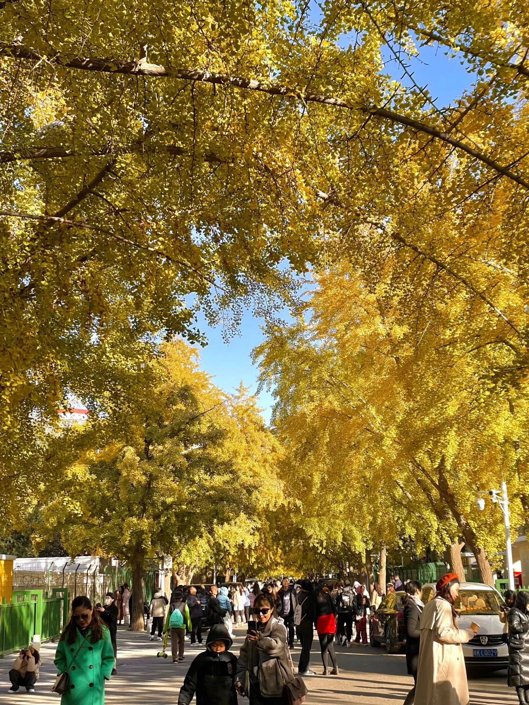 再过两周🍂北京才开始进入真正的秋天