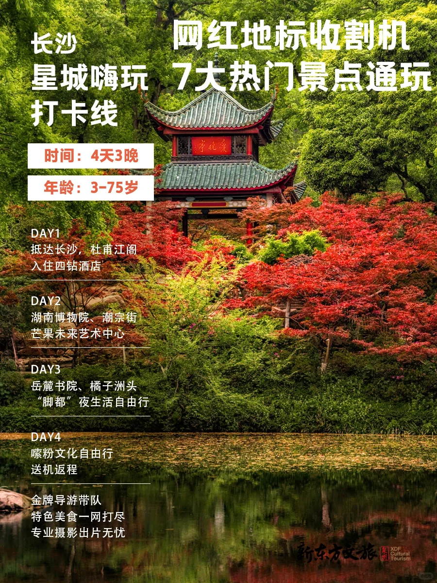 10-11月国内最适合带娃去的8个宝藏目的地✨