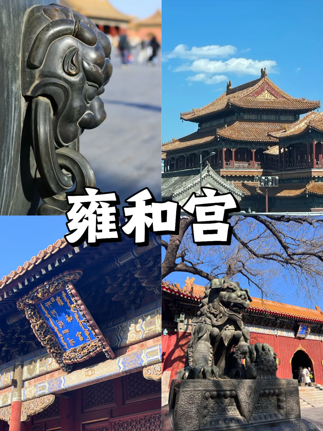停停停🤚!!!来北京旅游的必去景点来啦‼
