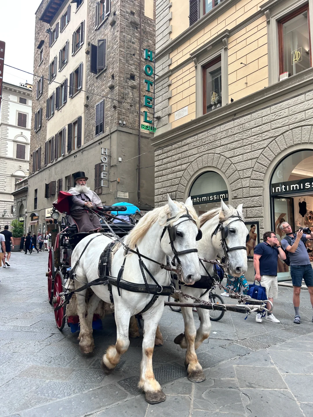 我不在意你了 因为我在意大利☁️Florence