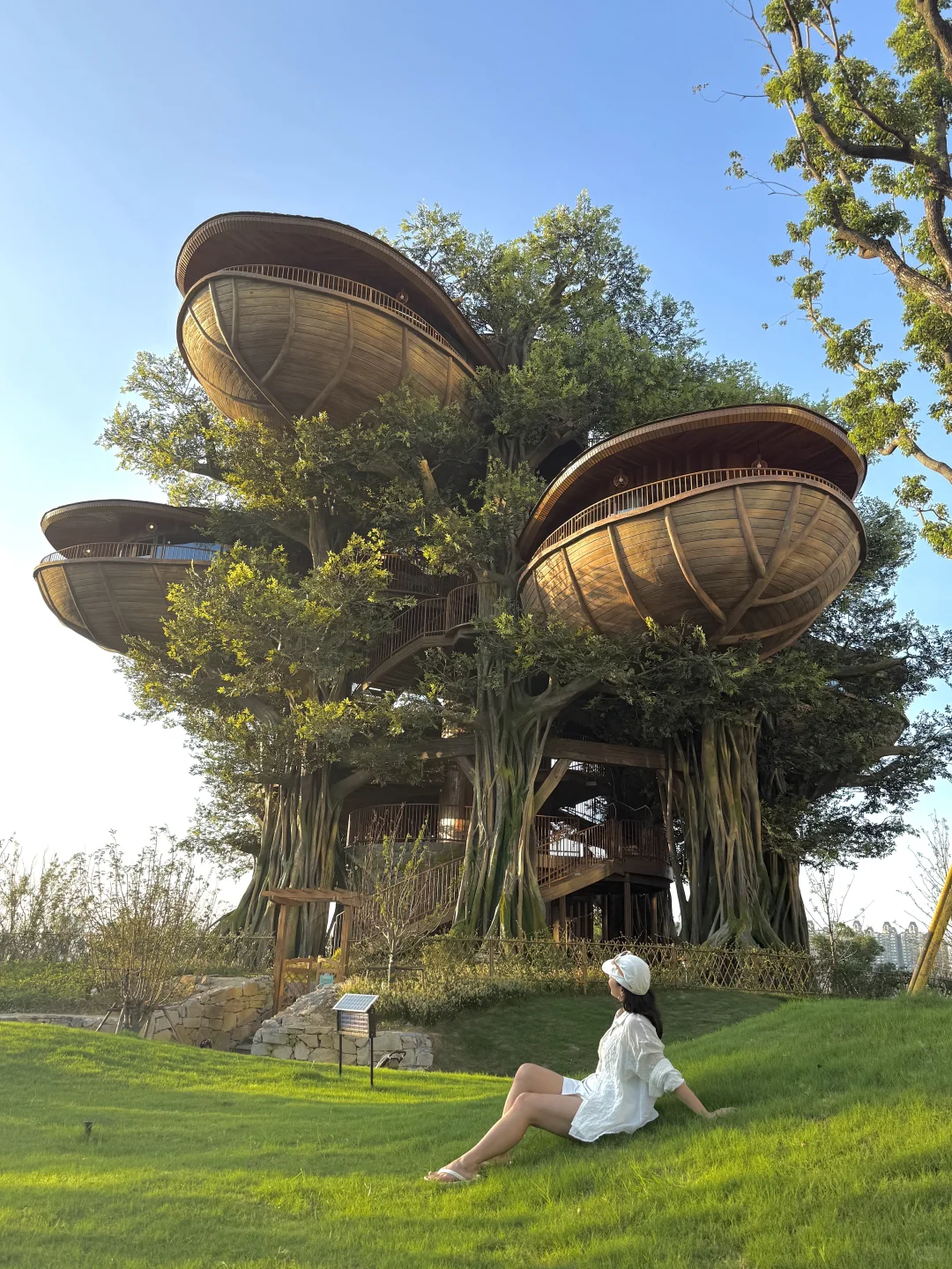 不是新西兰,是武汉,住进森林🌳树屋🛖