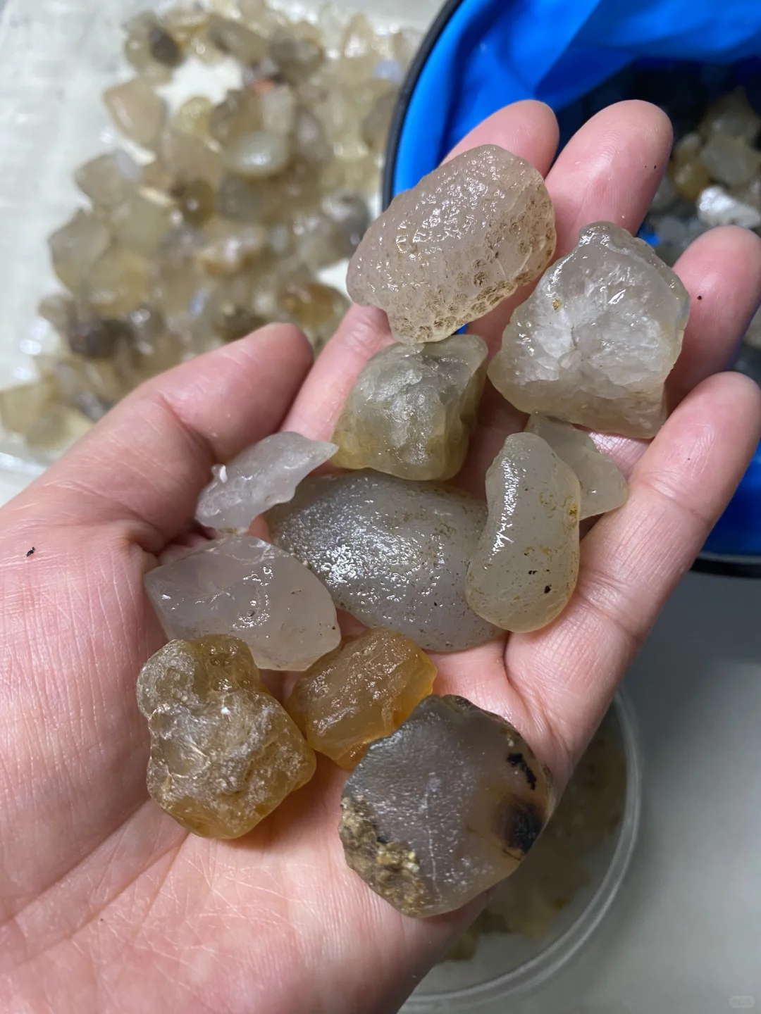 灰泉子村捡玛瑙,整片河滩都是亮晶晶✨宝石!