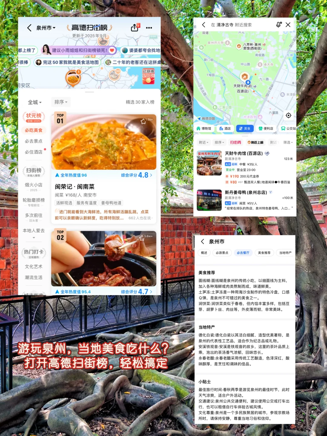 为了这❶❽张照片,我特意去了趟泉州❗️附机位