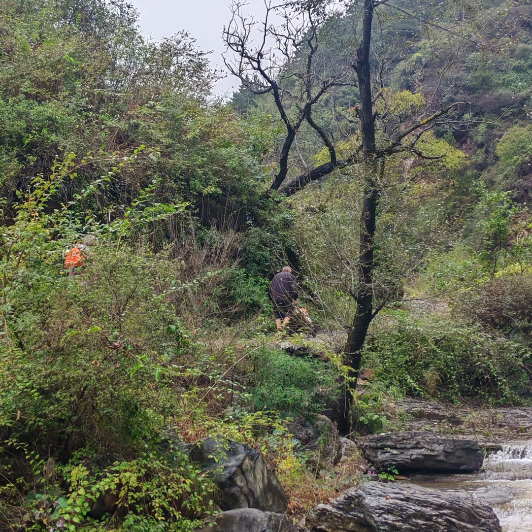齐王寨景区请把村路修好
