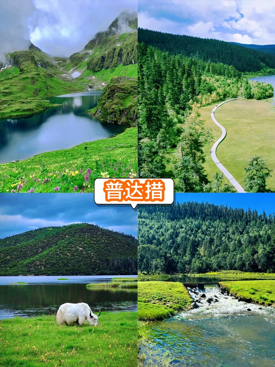 🌟来云南旅行👉最丝滑的游玩方式❤️
