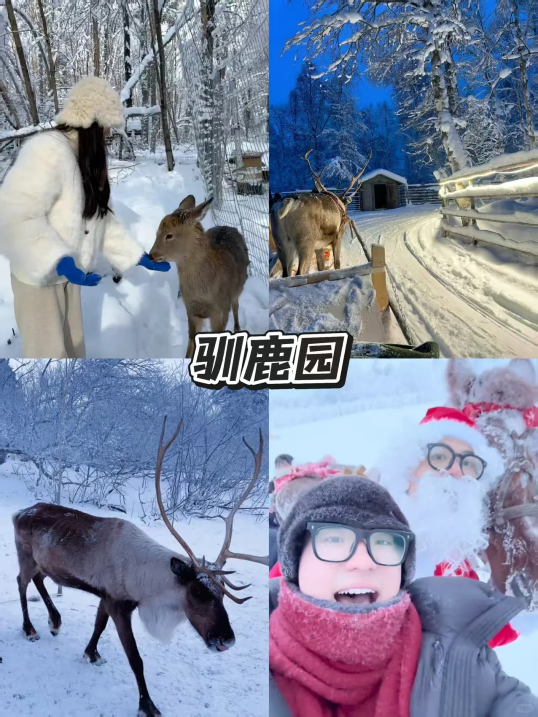 🇲🇾南方小土豆的快乐追雪日记❄️