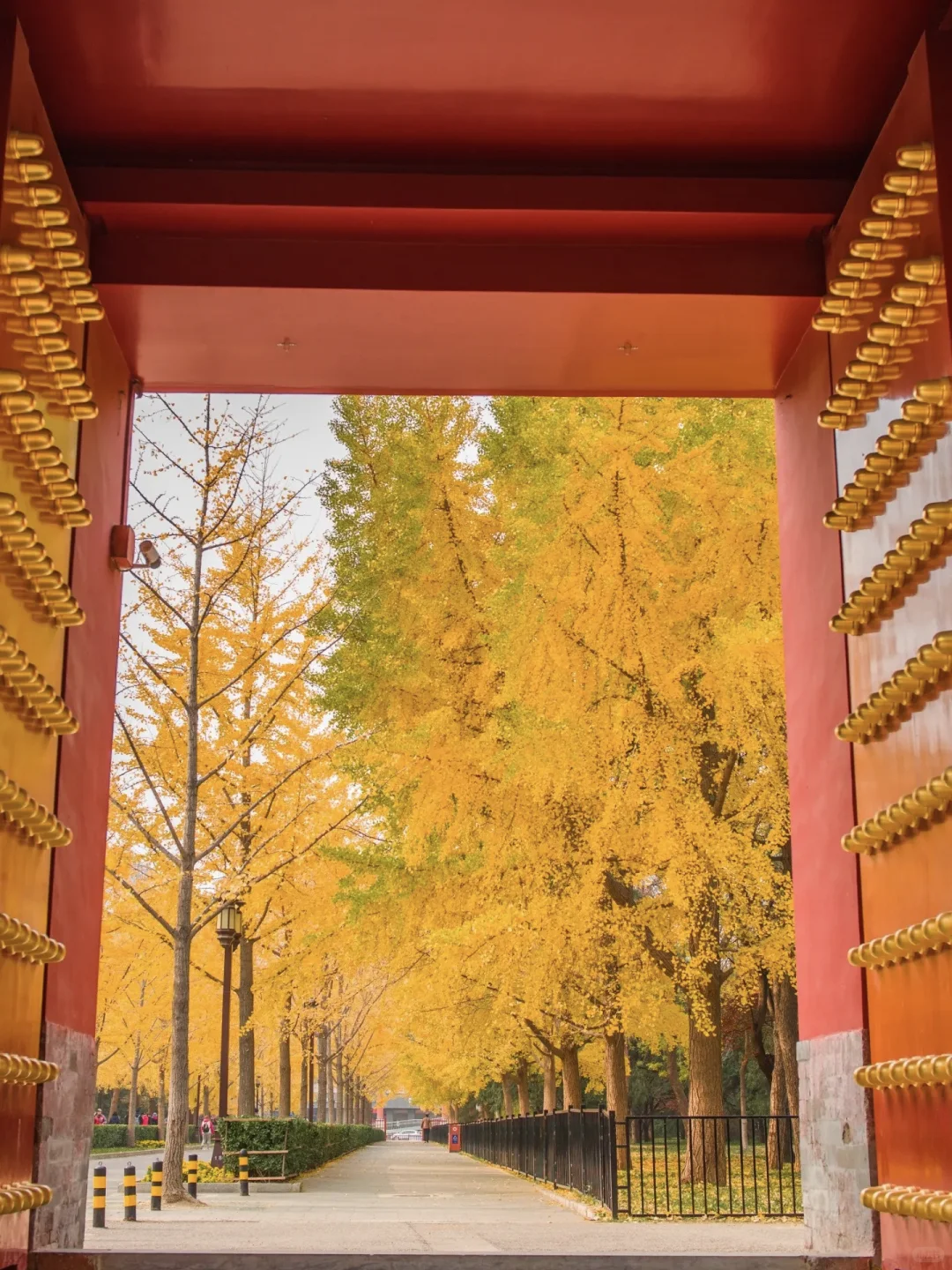 当秋风起🍂北京就变成了北平(附打卡点)