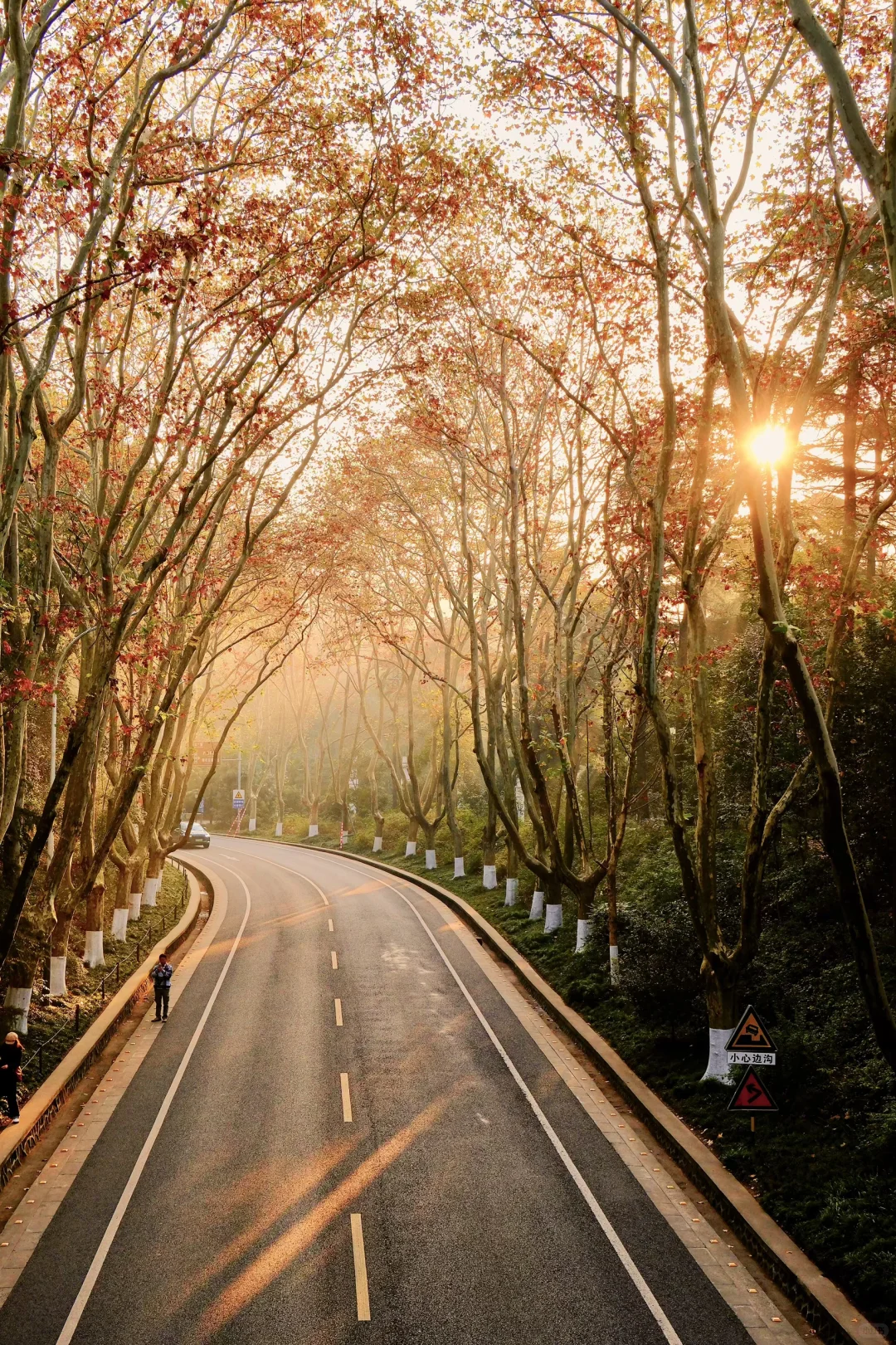 以为北京秋天够美了，直到我去了南京🍂🍂