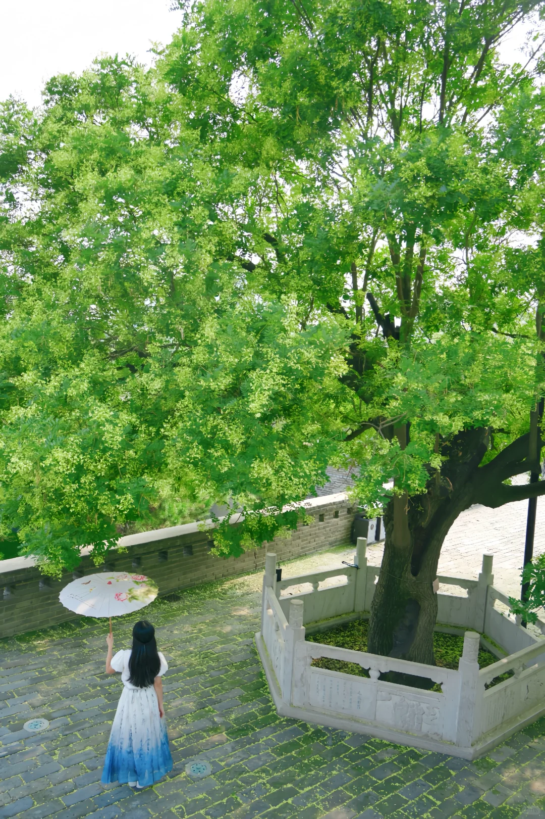 挑战每周逃离北京去旅行🦋第46站：邯郸