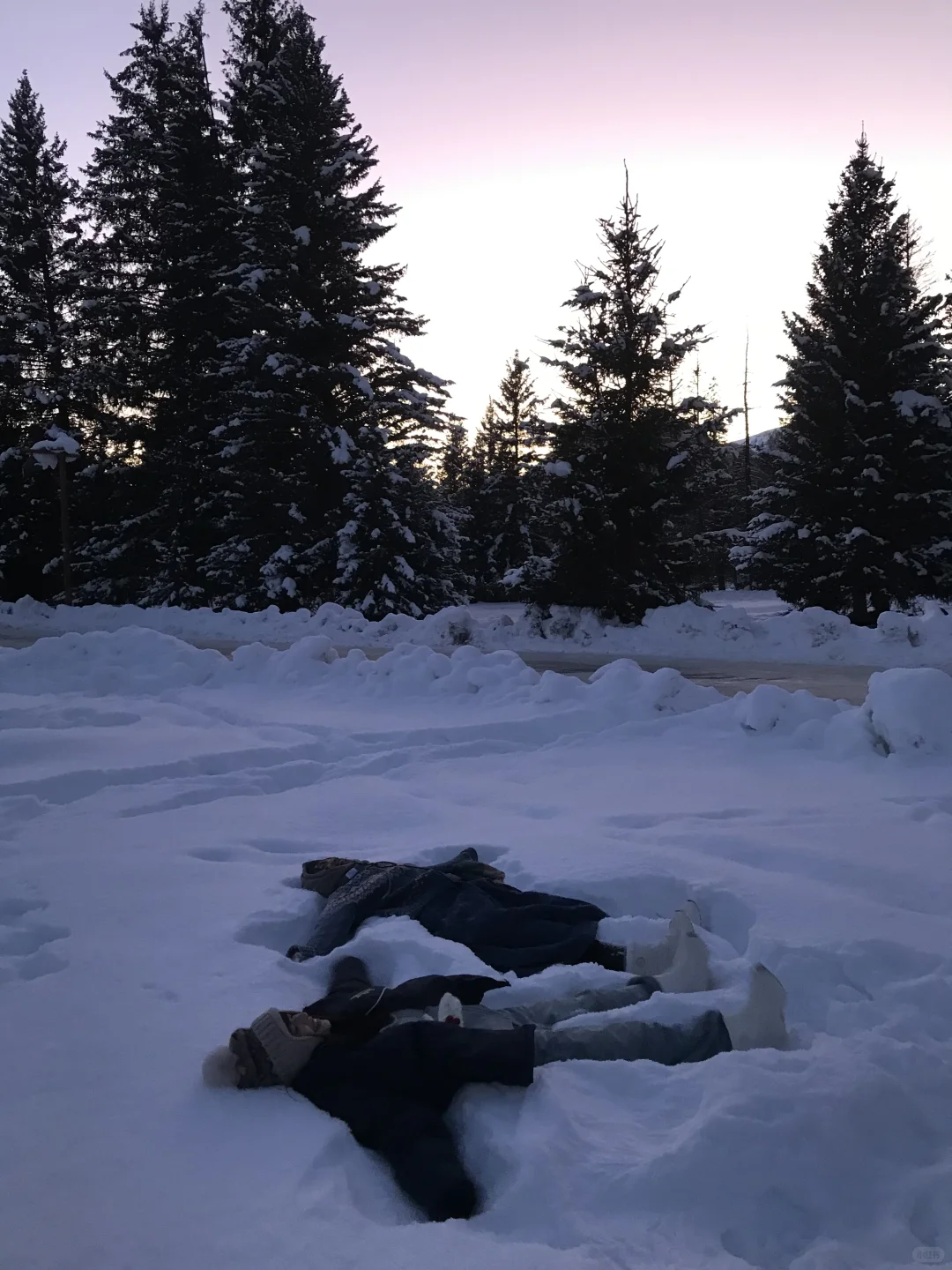 我的冬季阿勒泰自由行攻略！！！❄️