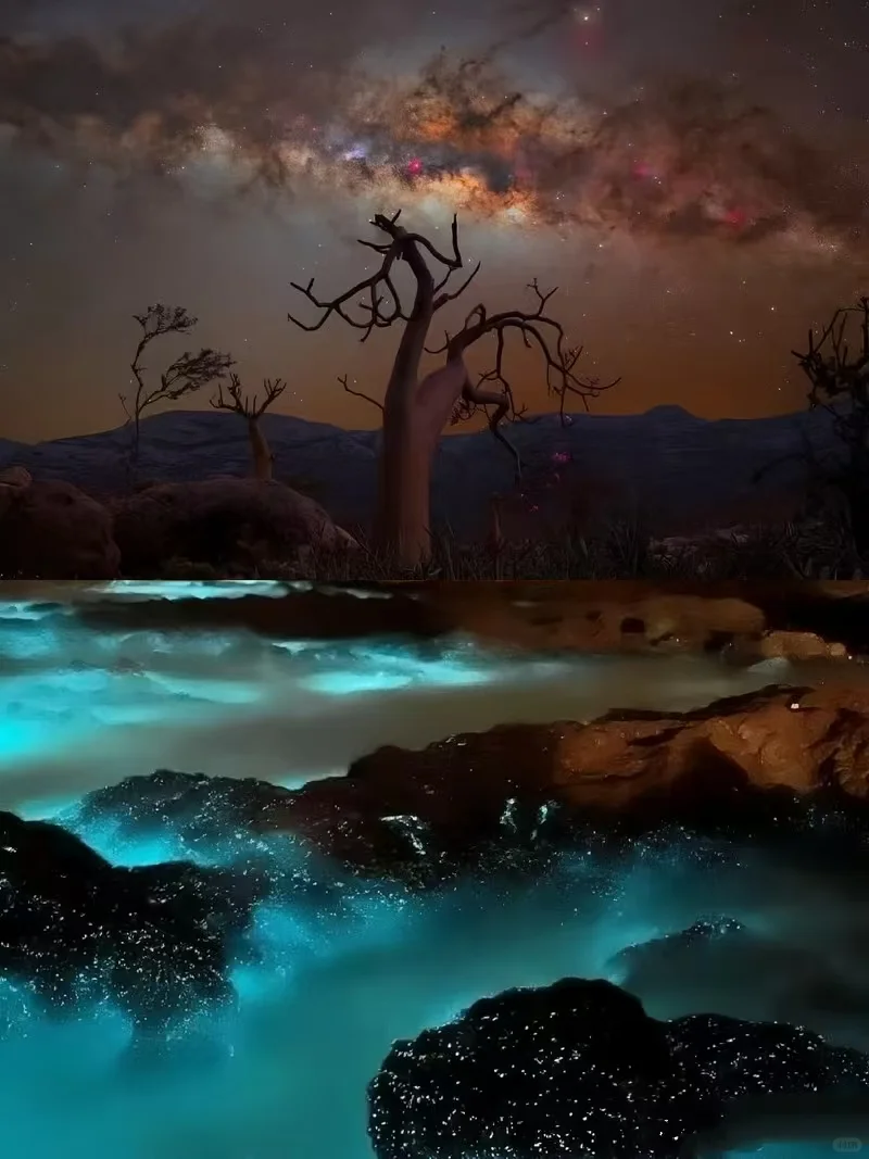 索科特拉群岛:地球上的外星世界