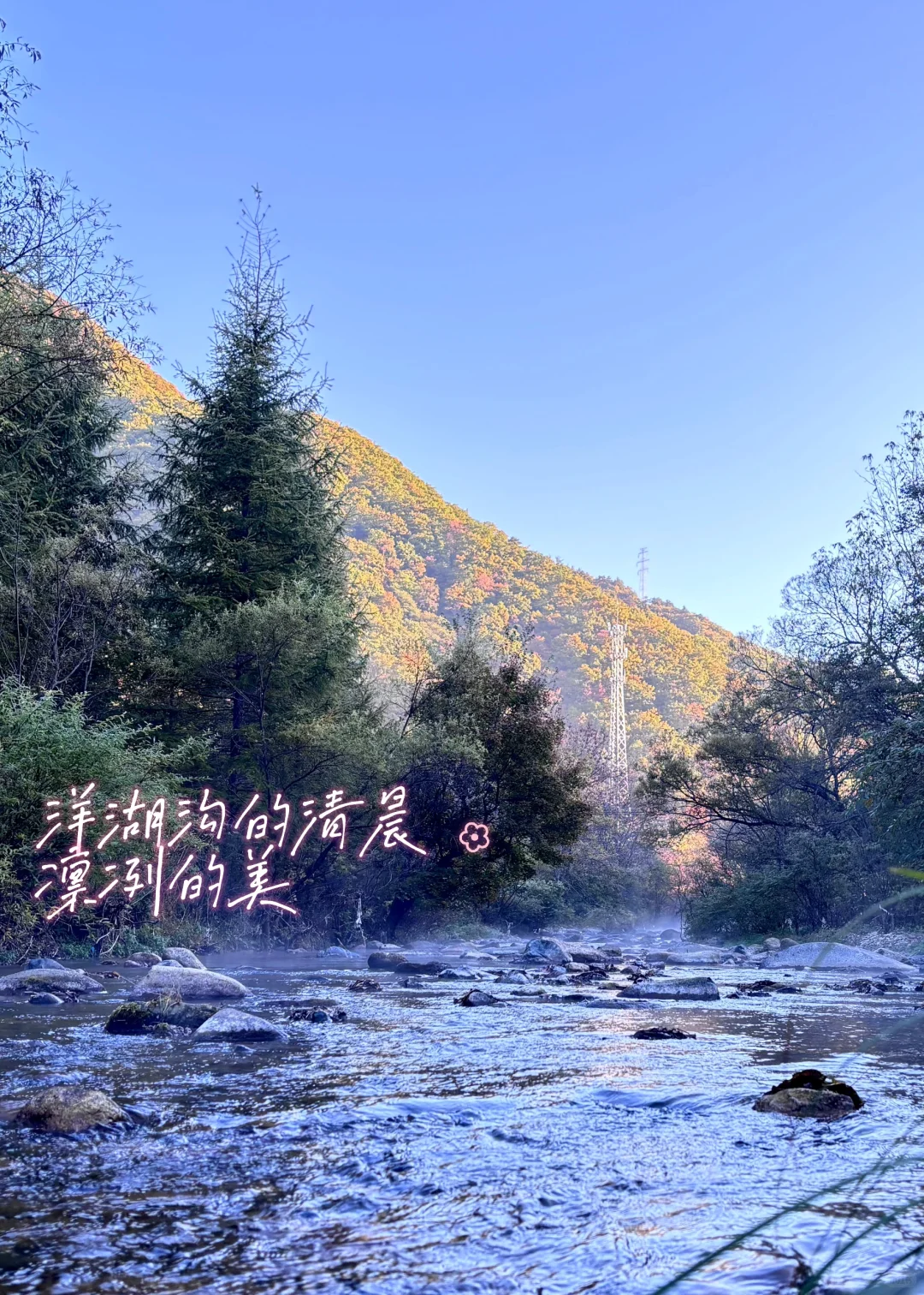 北京出发,这万山火红才是秋日绝色