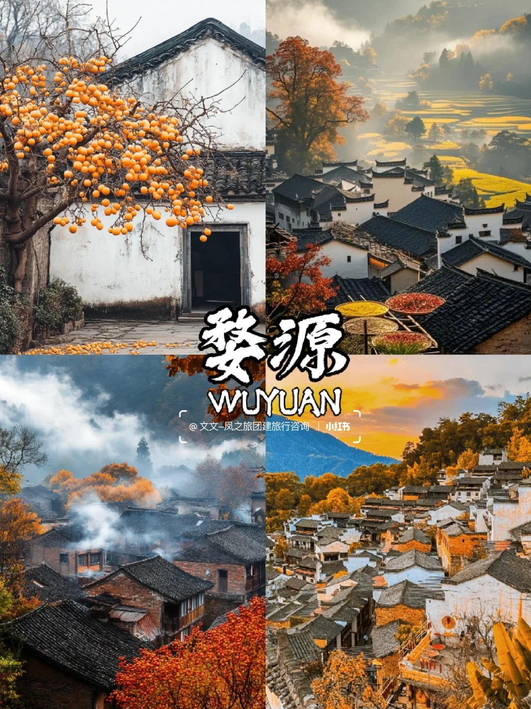 10-12月国内9个赏秋宝藏地🍂美到窒息~
