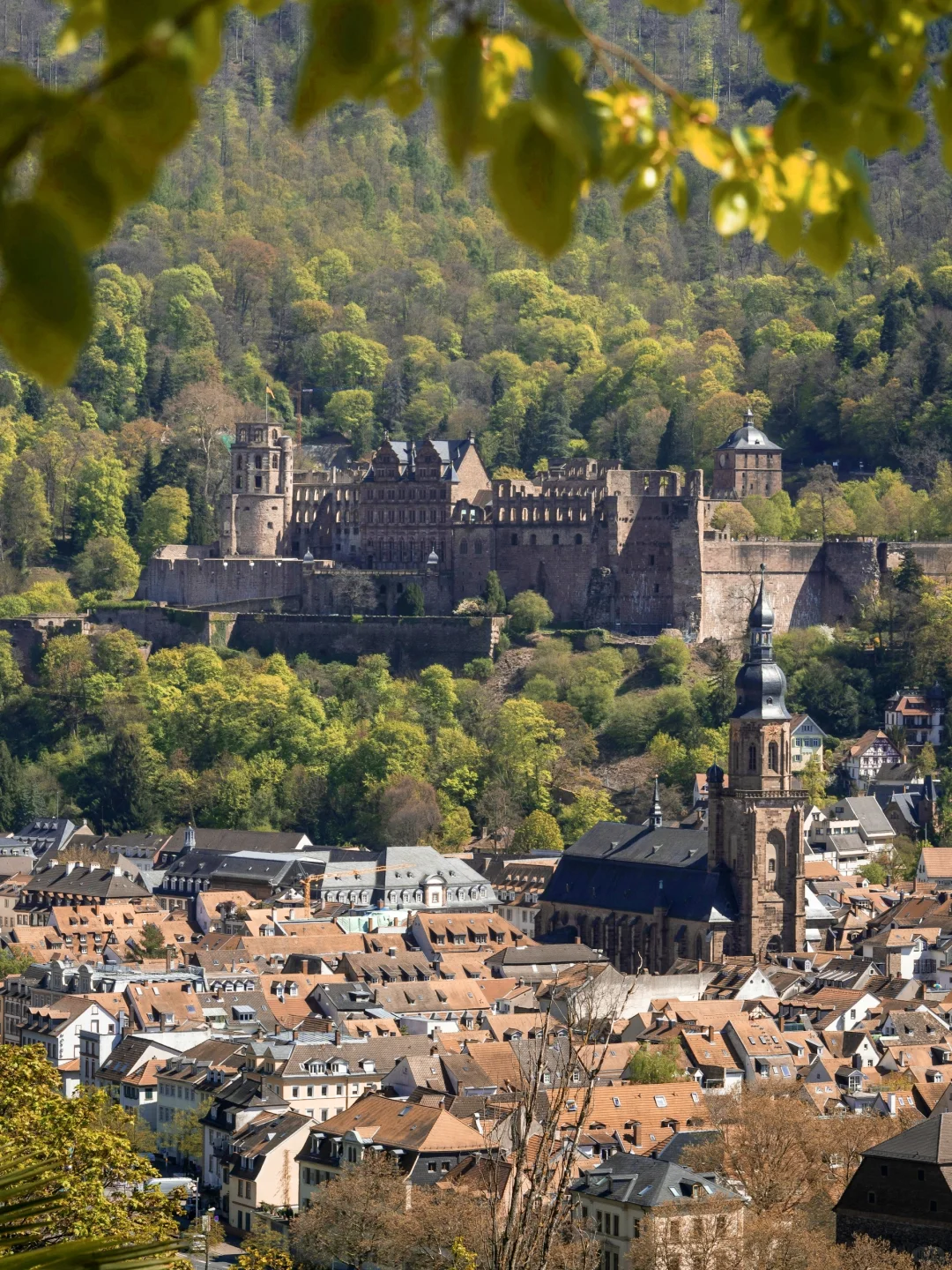 海德堡攻略|把心遗落在内卡河畔的浪漫古城