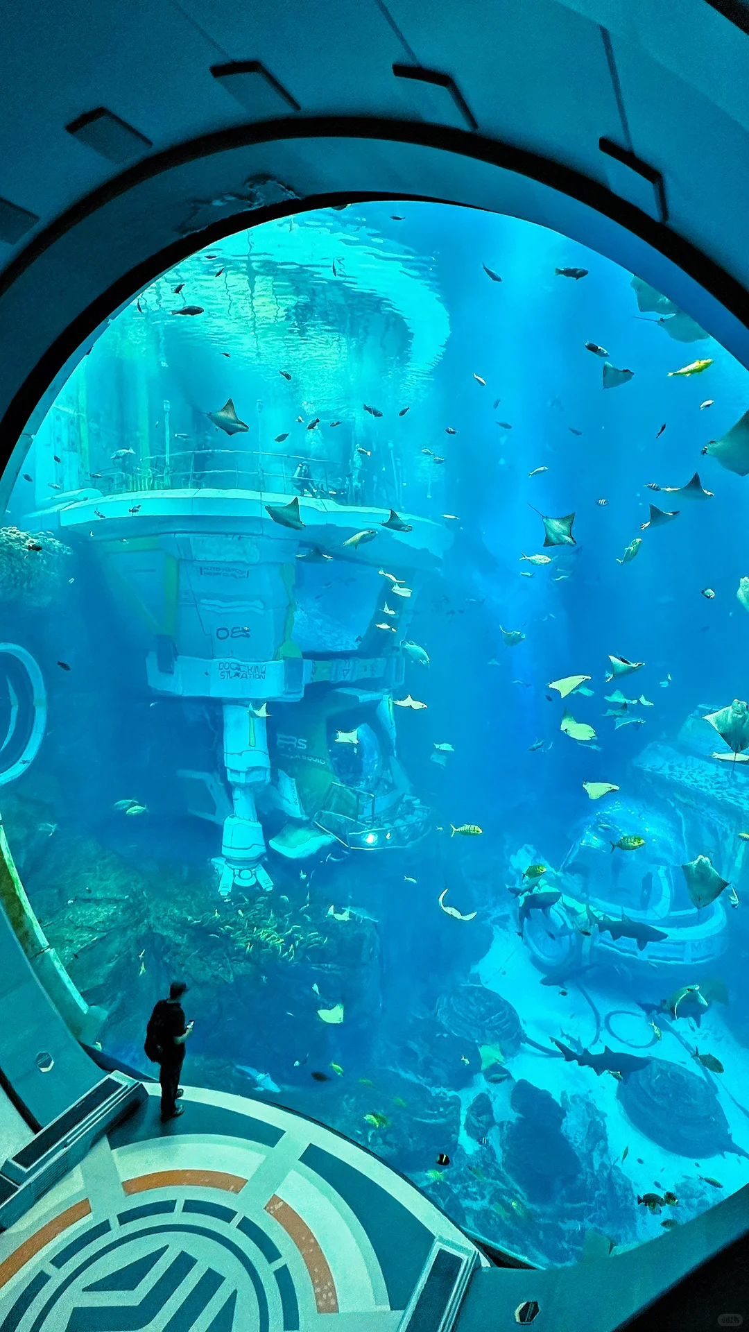 🐳 Sea World，全球最大海洋世界太震撼