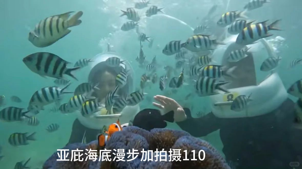 在马用人民币感受马来西亚🇲🇾物价！