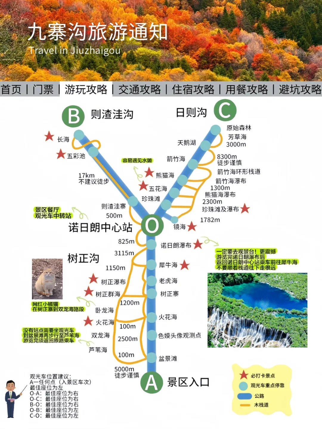 九寨沟彩林季旅游新攻略🔥幸好提前看到了